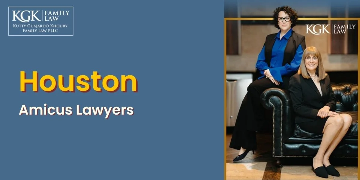 best houston amicus lawyer